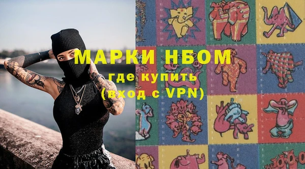 крисы Бородино