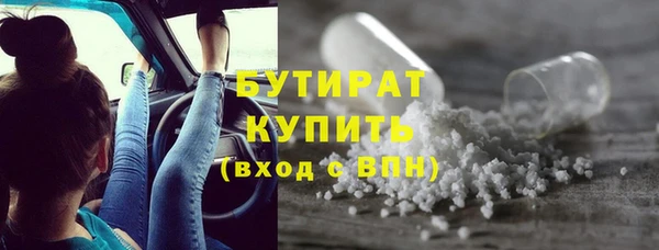 крисы Бородино