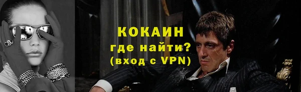 крисы Бородино