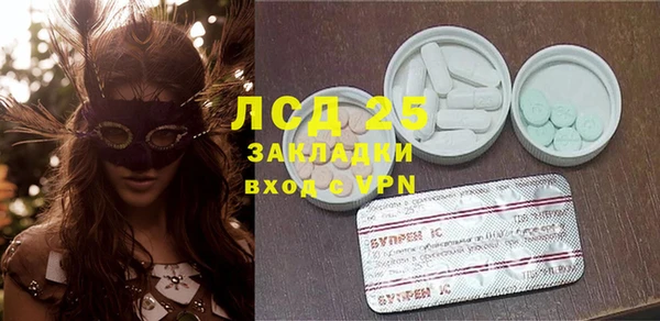 крисы Бородино