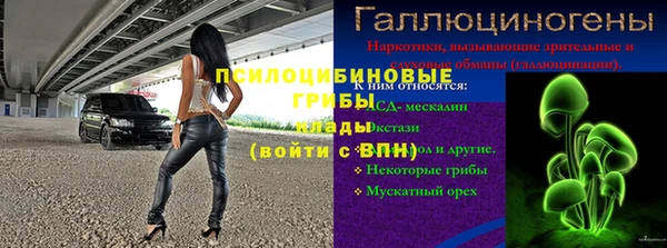 ГАЛЛЮЦИНОГЕННЫЕ ГРИБЫ Бронницы