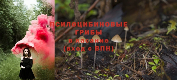 крисы Бородино