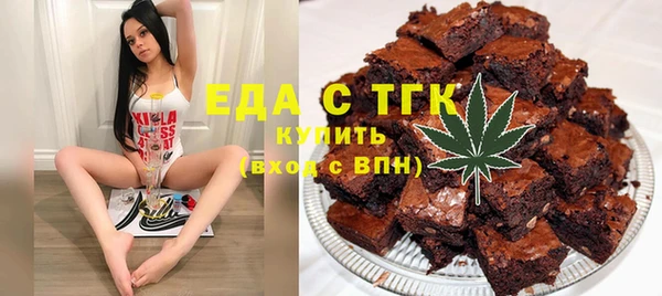 крисы Бородино
