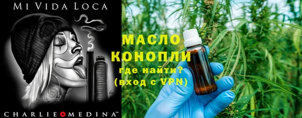 крисы Бородино