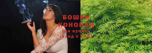 крисы Бородино