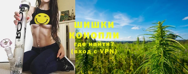 крисы Бородино