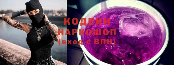 крисы Бородино