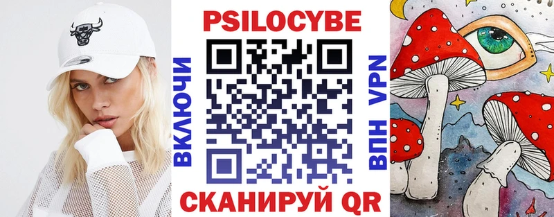 Галлюциногенные грибы Psilocybe Макарьев