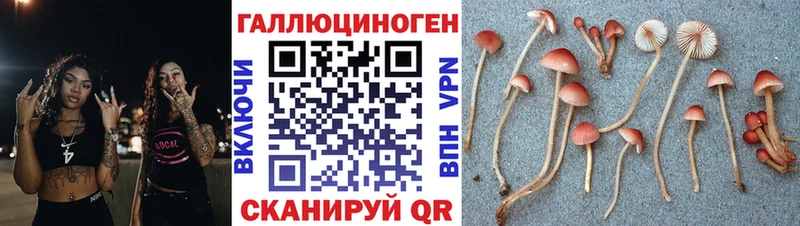 Купить  Макарьев  Галлюциногенные грибы Psilocybine cubensis 